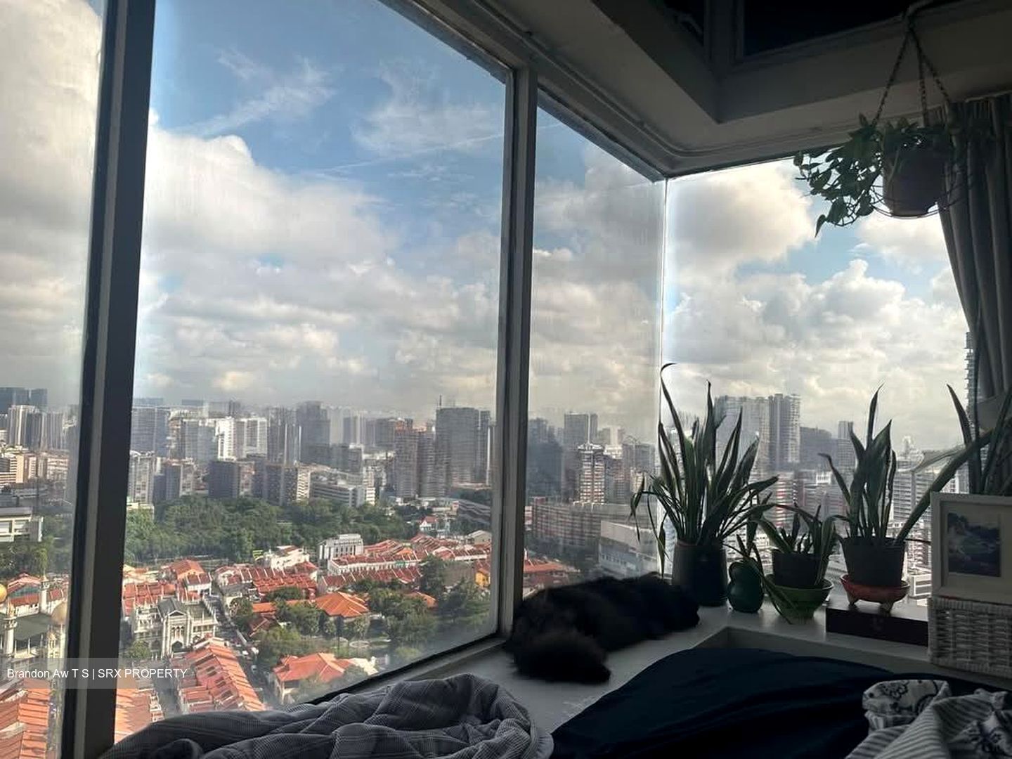 The Plaza (D7), Apartment #600076471